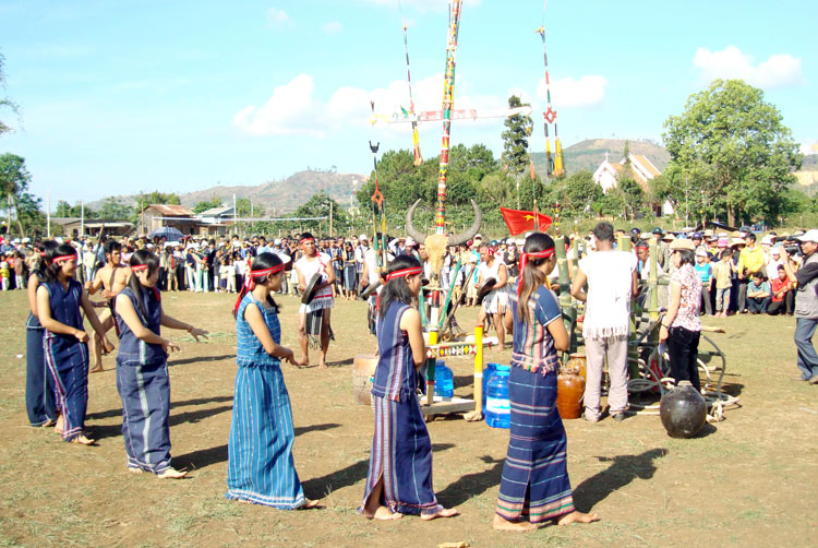 Đi trong hương mùa Thu cao nguyên