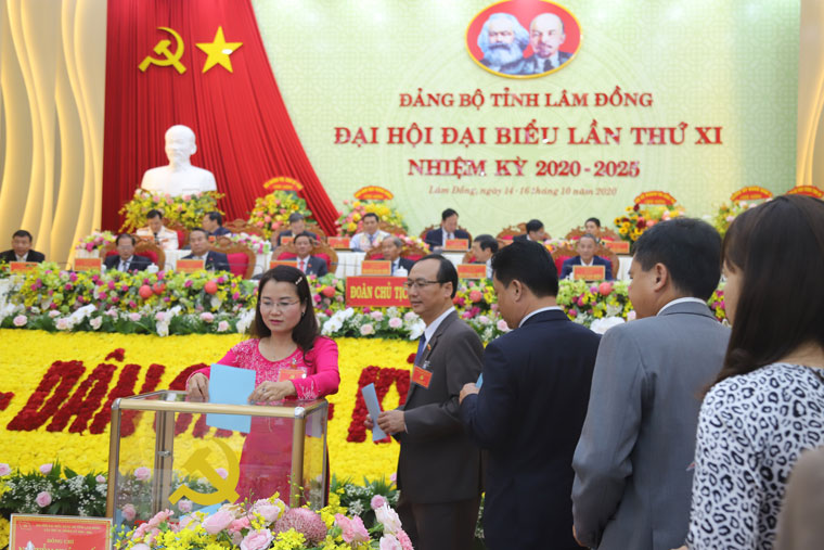 Các đại biểu bỏ phiếu bầu Đoàn đại biểu đi dự Đại hội đại biểu toàn quốc lần thứ XIII của Đảng
