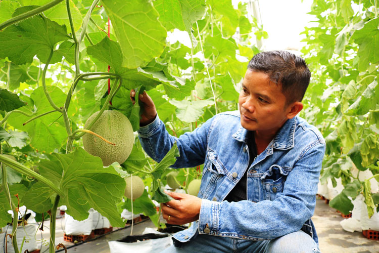 Mai Khôi Farm và khát vọng vươn mình