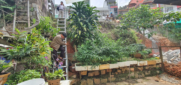 Bắc thang để ra, vào nhà