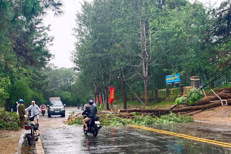 Đà Lạt: Vận động dân chung tay phòng, chống thiên tai