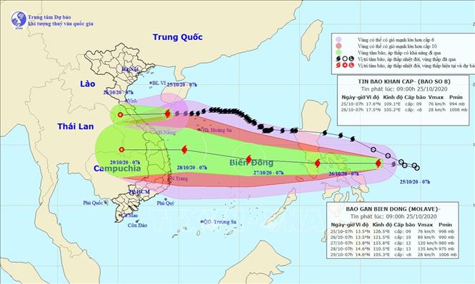 Bão số 8 sẽ đổ bộ vào sáng sớm 26/10, áp thấp nhiệt đới mạnh lên thành bão số 9