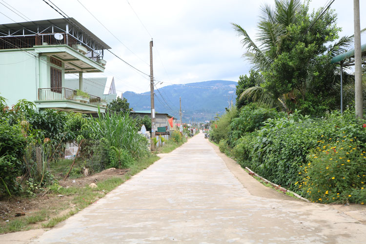 Sức sống mới ở tổ dân phố Hòa Bình