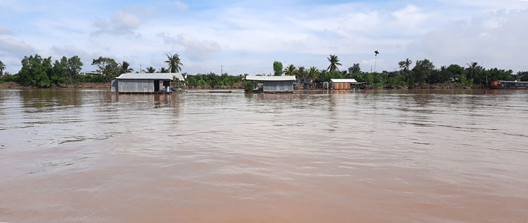 Du ngoạn sông Tiền mùa nước nổi