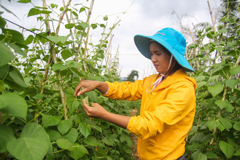 Đơn Dương: Hiệu quả từ nguồn vốn Chương trình 135