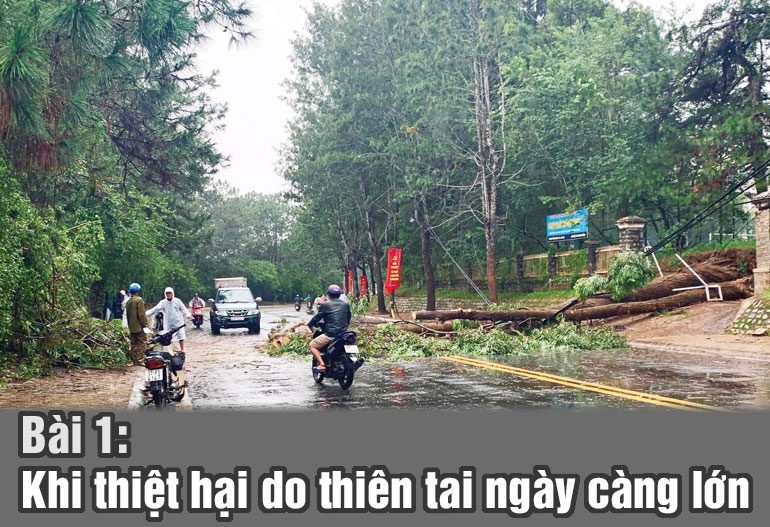 Lâm Đồng làm gì để ứng phó biến đổi khí hậu? (bài 1)