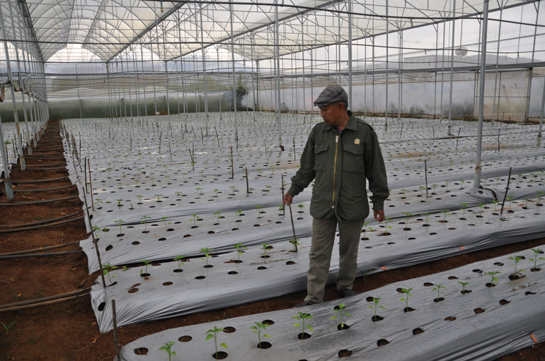Ông Đinh Ngọc Quang với hệ thống tưới nhỏ giọt trong vườn nhà mình