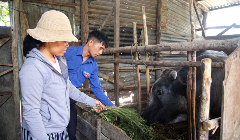 Giúp thanh niên yếu thế mạnh dạn phát triển kinh tế
