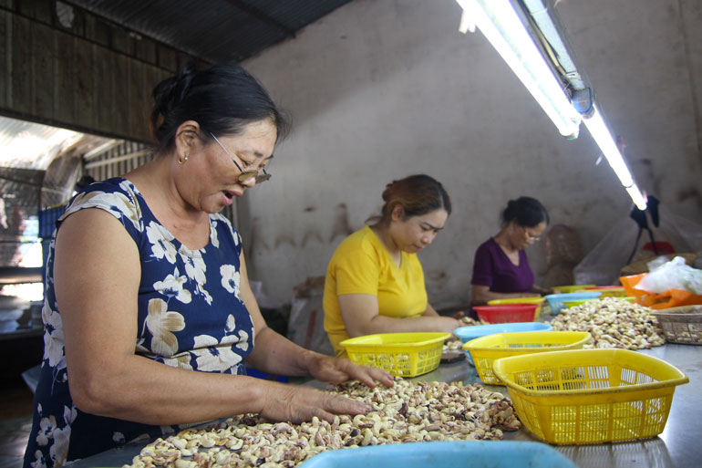 Đồng bào Công giáo Cát Tiên sống tốt đời, đẹp đạo