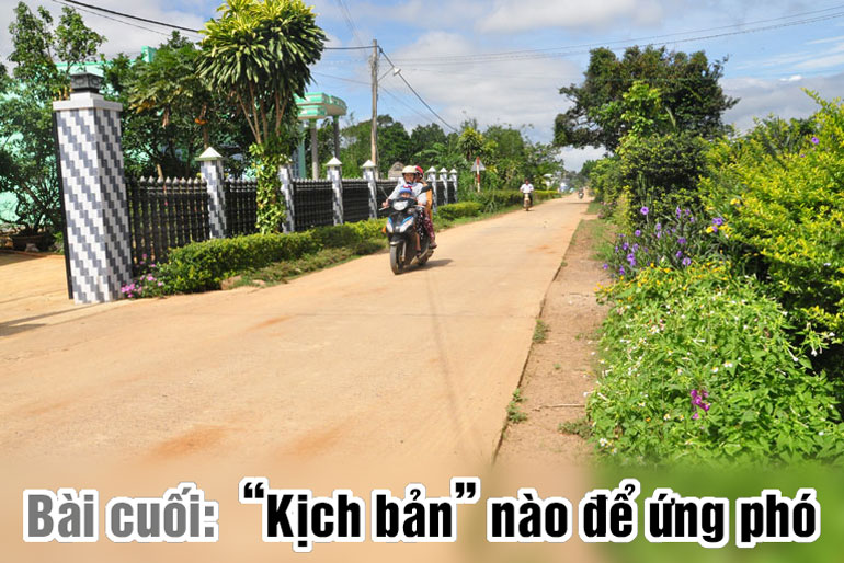 Lâm Đồng làm gì để ứng phó biến đổi khí hậu?