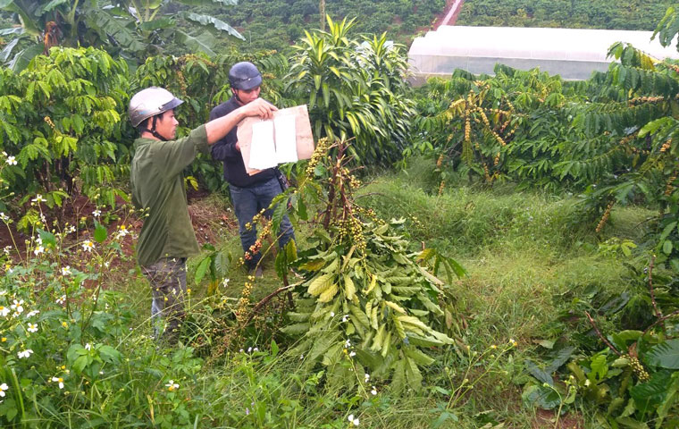 Cơ quan công an khám nghiệm hiện trường phục vụ công tác điều tra, truy tìm thủ phạm