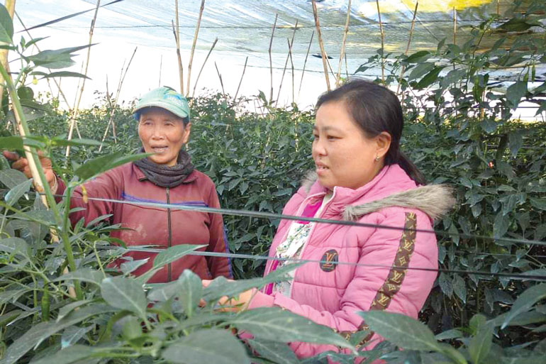 Phụ nữ Đơn Dương giúp nhau thoát nghèo
