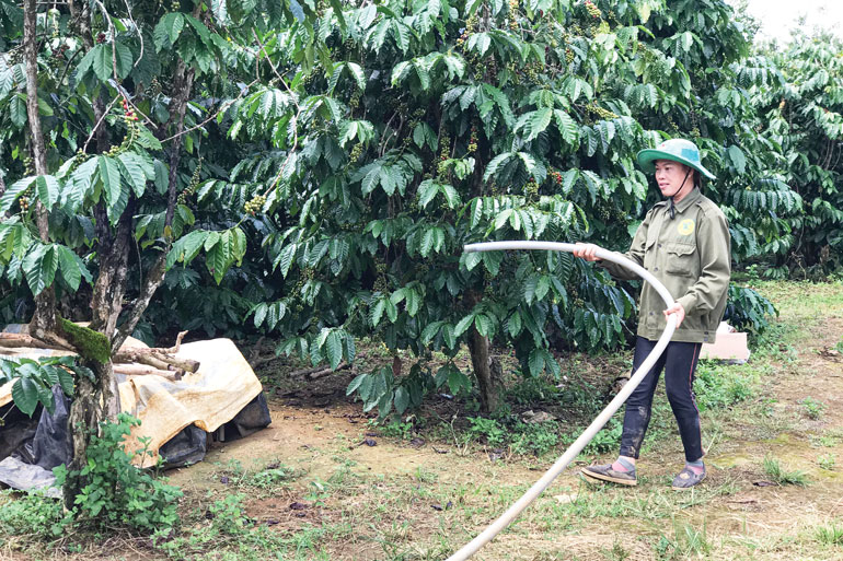 Ánh điện sáng Nao Quang