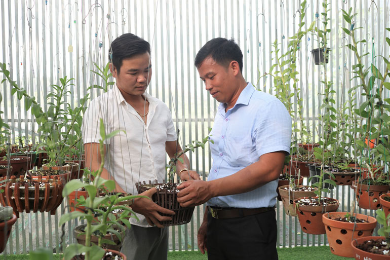 Chú trọng phát triển kinh tế tập thể trong thanh niên