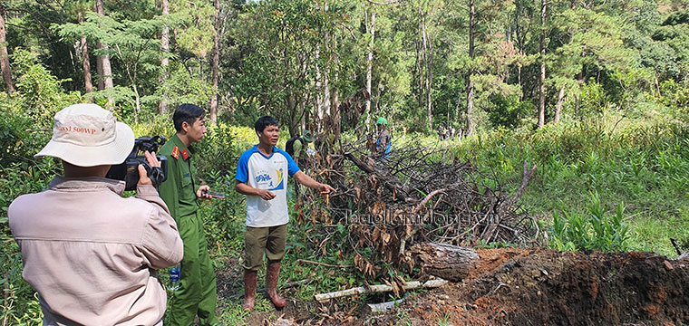 Đối tượng khai nhận khai nhận vị trí cưa hạ thông