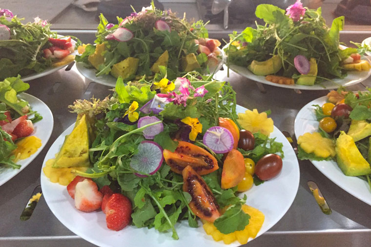 Món Salad rau củ quả Đà Lạt gây ấn tượng