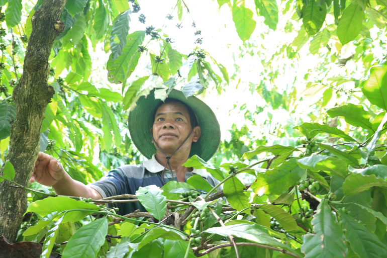 Việc nắm bắt thông tin cụ thể giúp cho người nghèo thuận lợi hơn trong việc tiếp cận với các nguồn vốn để phát triển kinh tế