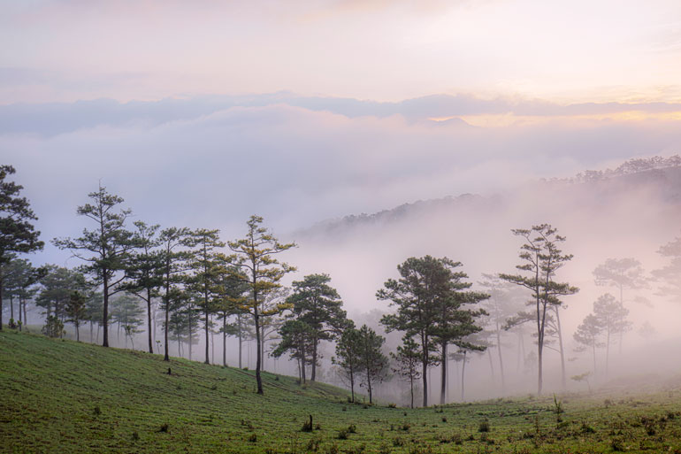 Sương nắng Đà Lạt. Ảnh: Võ Trang