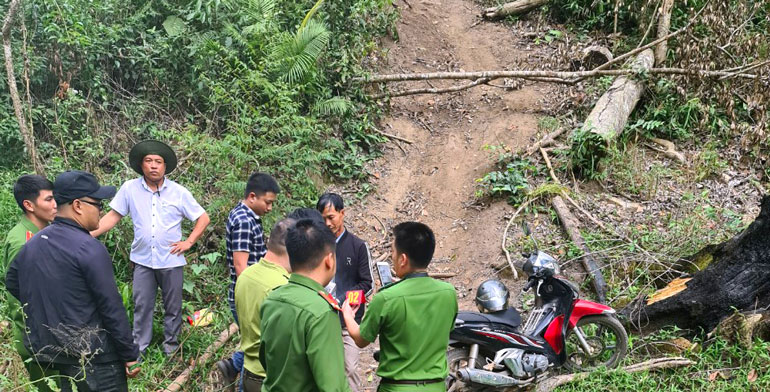 Khởi tố vụ án, bắt 3 đối tượng phá rừng