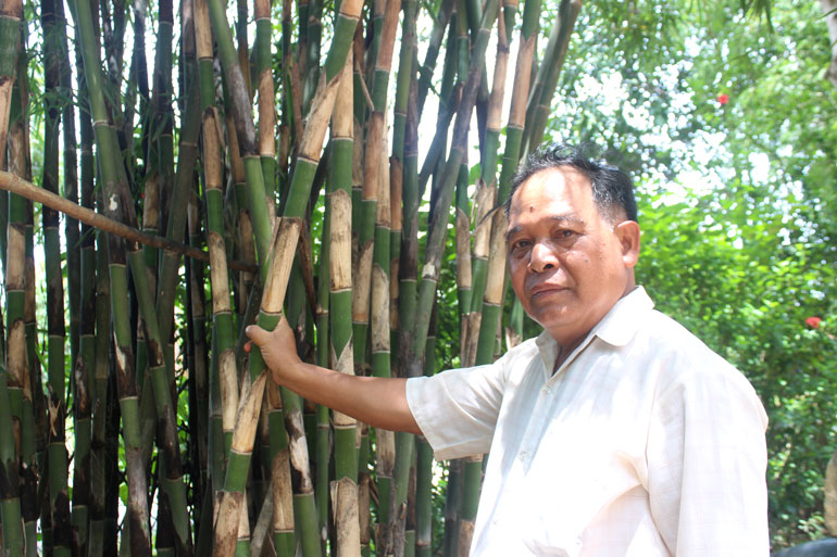 Đạ Tẻh: Gắn xây dựng nông thôn mới với giảm nghèo bền vững trong vùng đồng bào dân tộc thiểu số