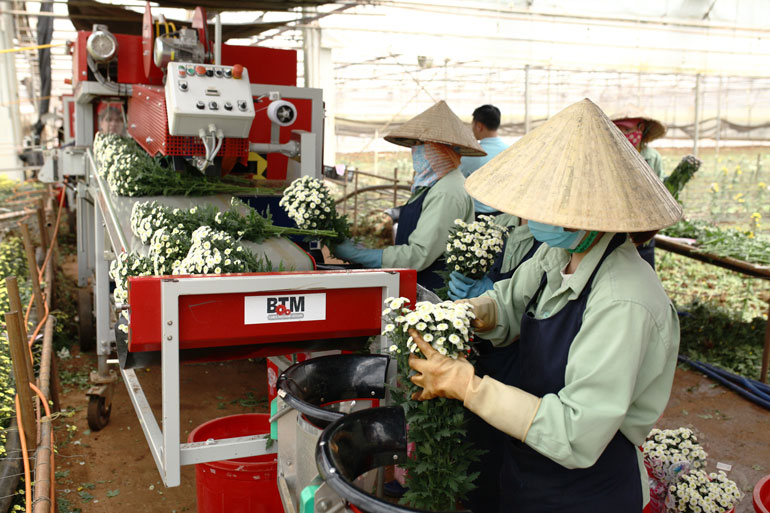 Nhu cầu tuyển dụng cao nhưng nguồn lao động khan hiếm