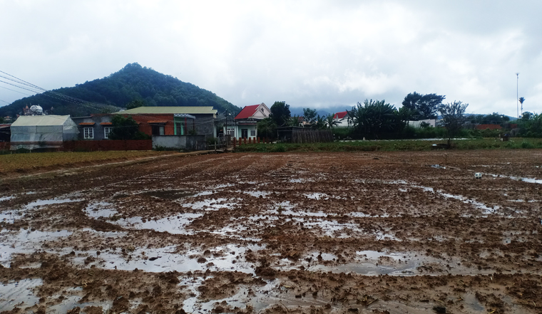 Gần 30 ha hoa màu bị ảnh hưởng do thủy điện xả lũ