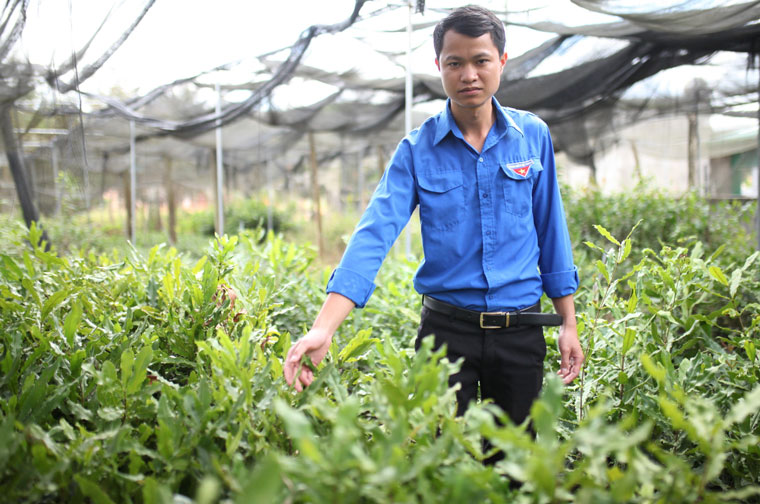Vươn lên từ đất khó Đạ K'Nàng