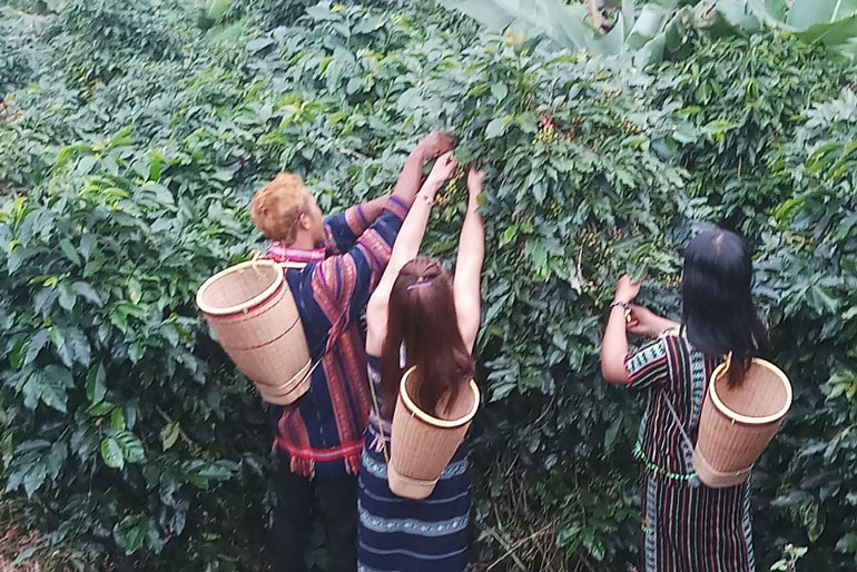 Đẩy nhanh tiến độ đầu tư hạ tầng nông thôn