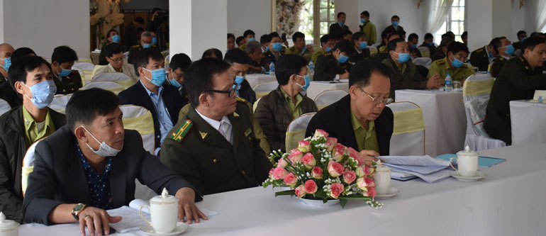 Cơ bản kiểm soát tình hình vi phạm pháp luật về lâm nghiệp