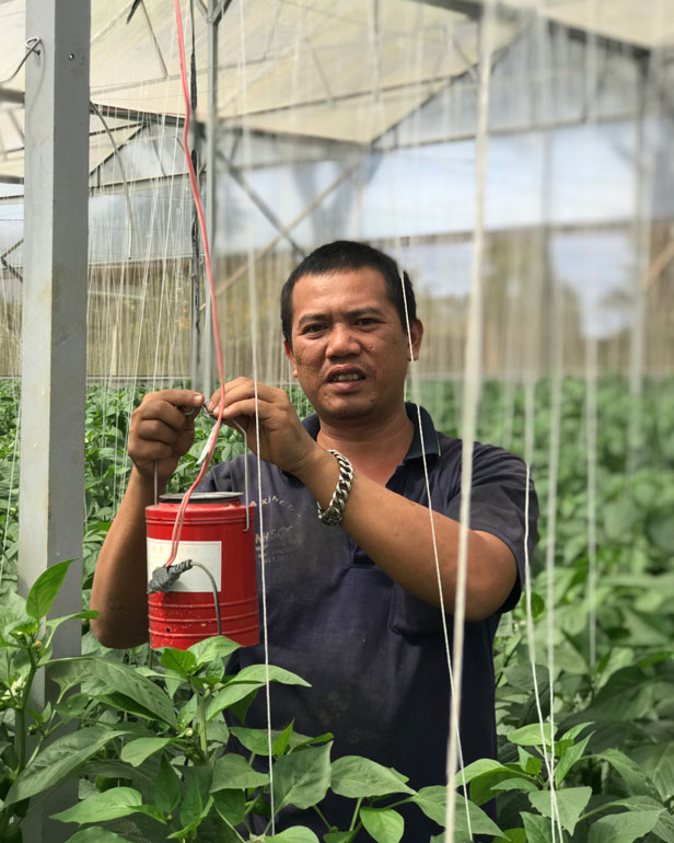 Anh Sơn kiểm tra đèn diệt côn trùng