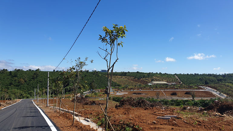 Đường bê tông nhựa nóng, mương thoát nước, trụ điện được xây lắp trên một khu đất nông nghiệp tại Thôn 11 (xã Đam B’ri). Thực trạng này cũng khá phố biến tại những khu đất nông nghiệp được gọi là “dự án” bất động sản đang được triển khai rầm rộ tại TP Bảo Lộc và huyện Bảo Lâm