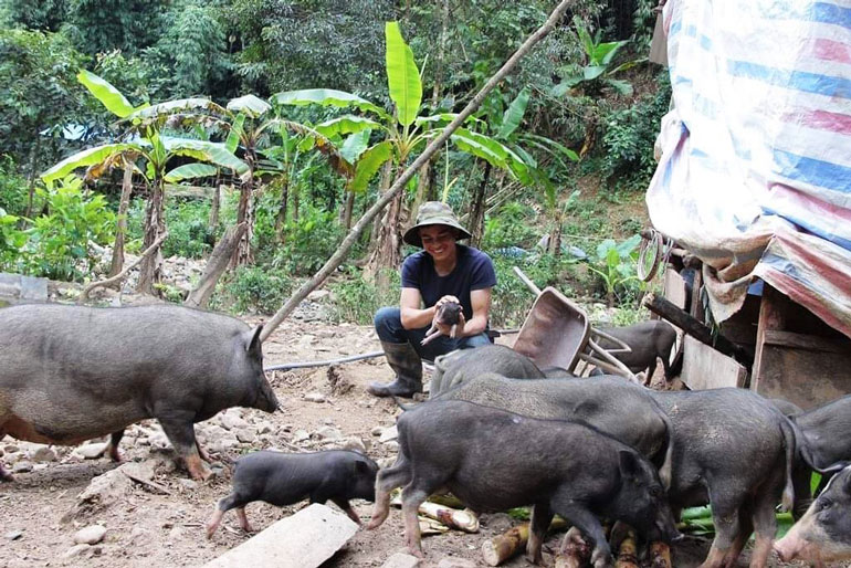 Tất bật chăn nuôi đón tết