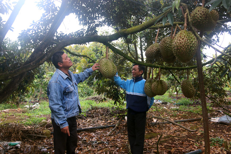 Hướng bà con đến các sản phẩm an toàn