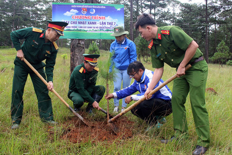 Năm 2020: Toàn tỉnh trồng mới hơn 600 ha rừng các loại