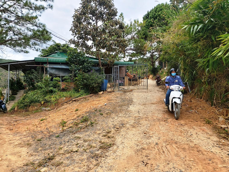 30 căn nhà xây dựng trái pháp luật trên đất lâm nghiệp