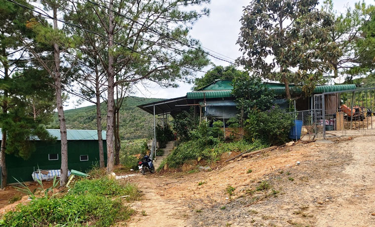 Tại Tiểu khu 277B có 30 căn nhà tiền chế xây dựng trái pháp luật trên đất lâm nghiệp