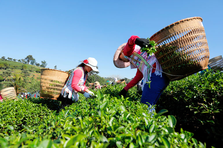 5 năm triển khai Đề án 715: Đáp ứng và phản ánh thực trạng kinh tế - xã hội của địa phương