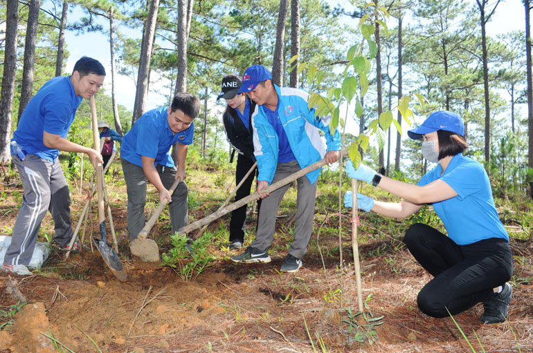Chú trọng phát triển đảng trong đoàn viên, thanh niên