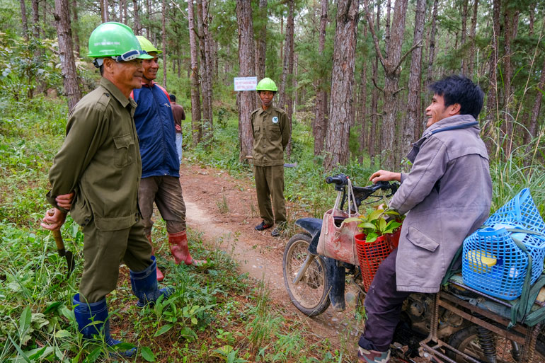 Giữ rừng ở D'Ran