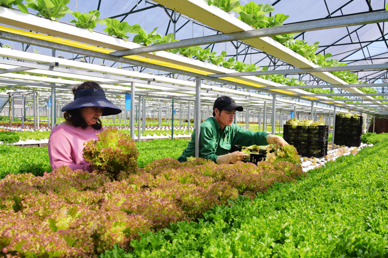 ''Chìa khóa'' để Lâm Đồng phát triển nhanh và bền vững