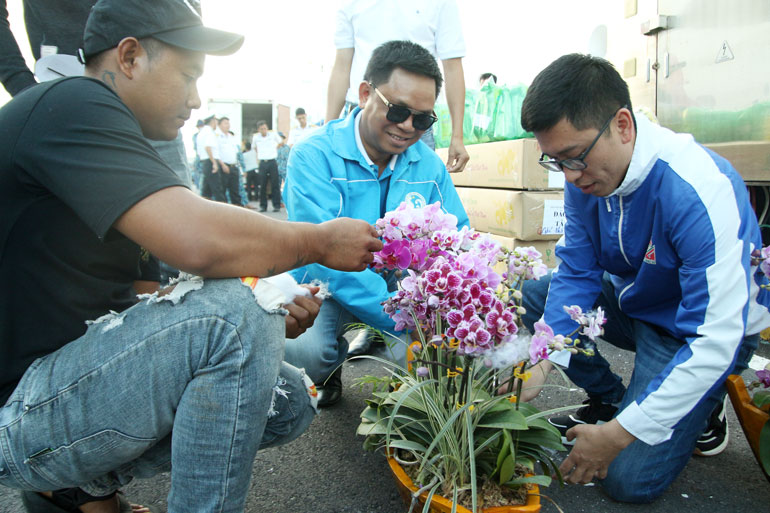 Những cánh hoa được chăm chút cẩn thận trước khi đưa lên tàu