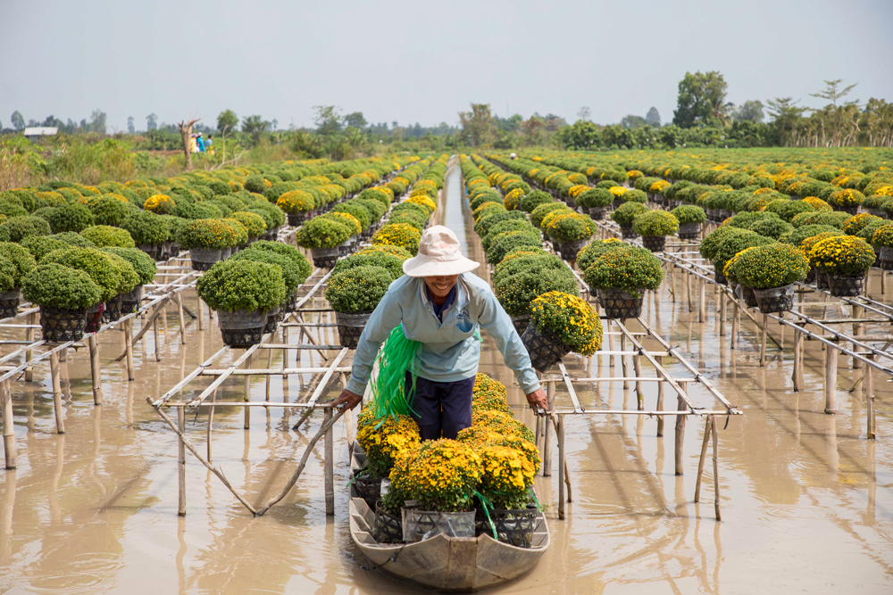 Niềm vui ngày thu hoạch