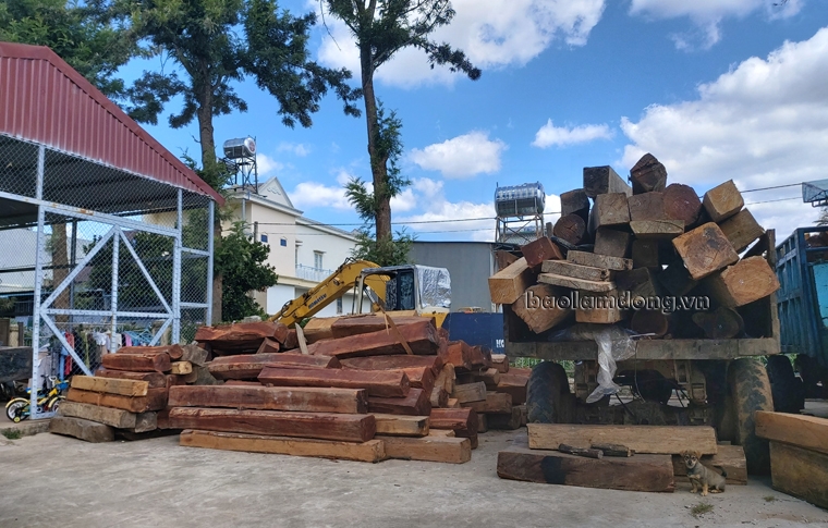 Khẩn trương điều tra, xử lý nghiêm 2 vụ tàng trữ, vận chuyển gỗ trái phép