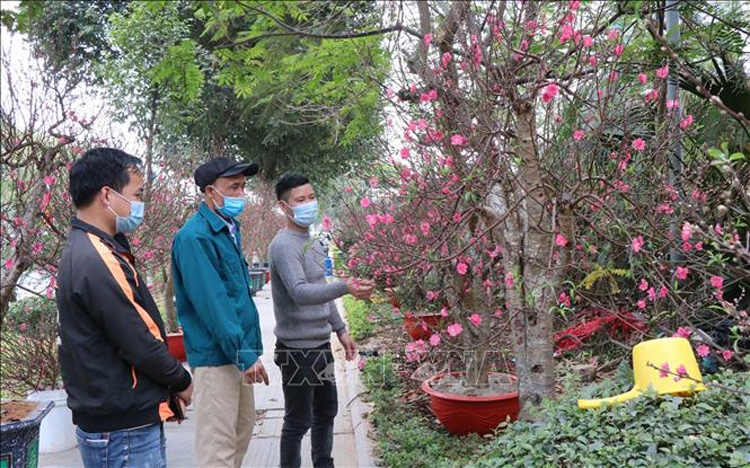Bắc Bộ và Trung Bộ sáng sớm sương mù, có mưa vài nơi