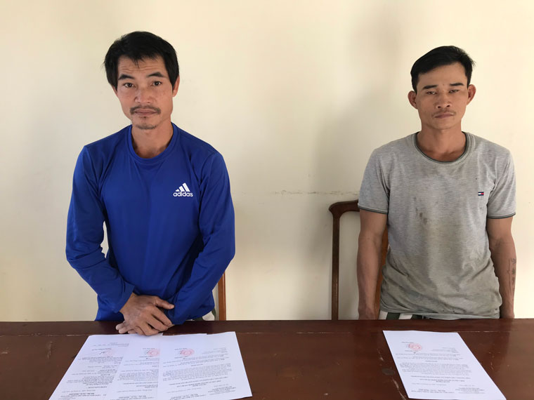 Khởi tố hình sự vụ phá rừng trái pháp luật