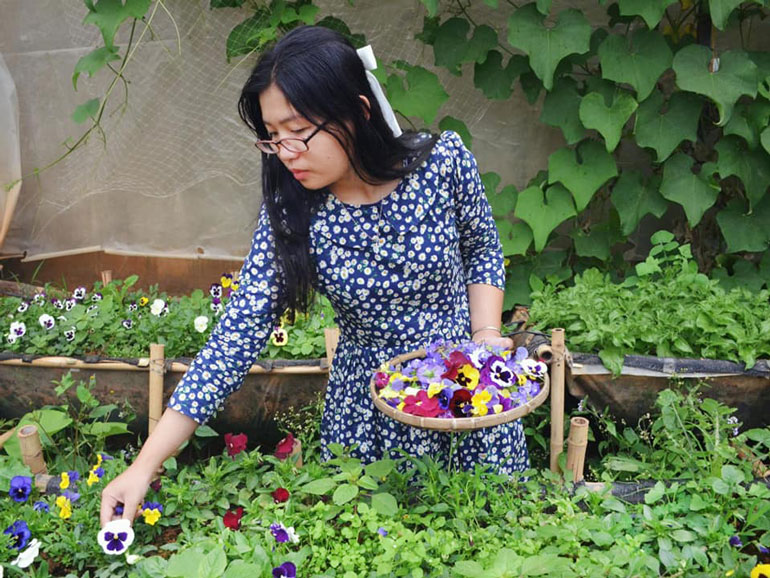 Đưa hoa lên bánh