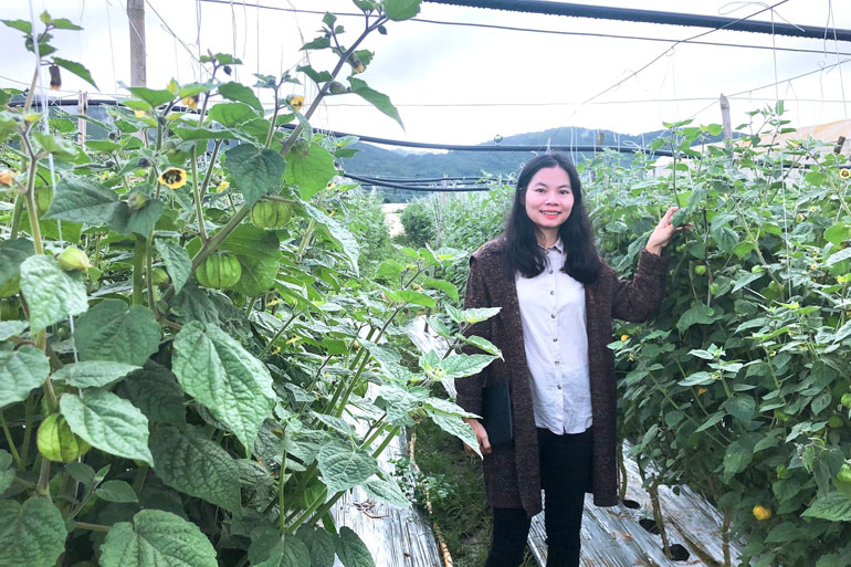 Vườn Tầm bóp trồng tại huyện Đơn Dương Ảnh 3: Các sản phẩm nước cốt, mứt từ quả Tầm bó
