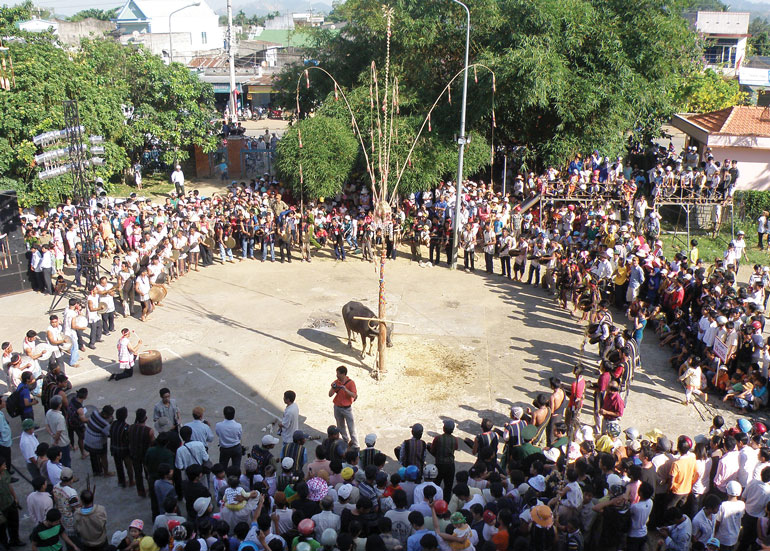 Con trâu với người Tây Nguyên