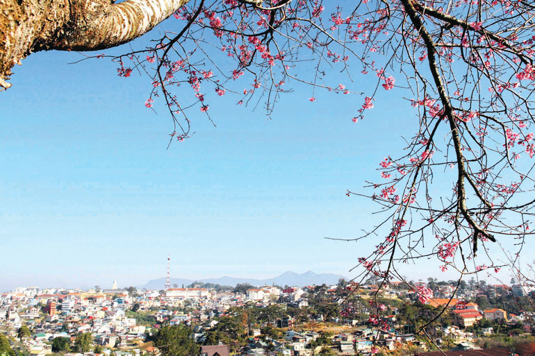 Đà Lạt - nhìn từ xa