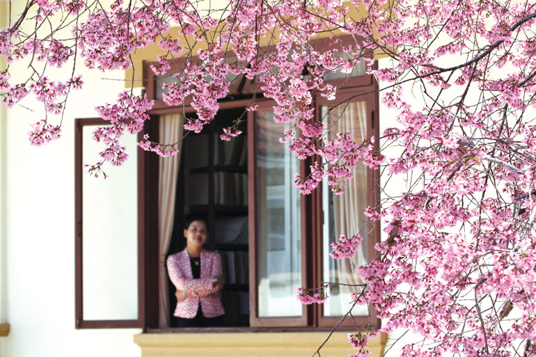 Ô cửa mùa xuân